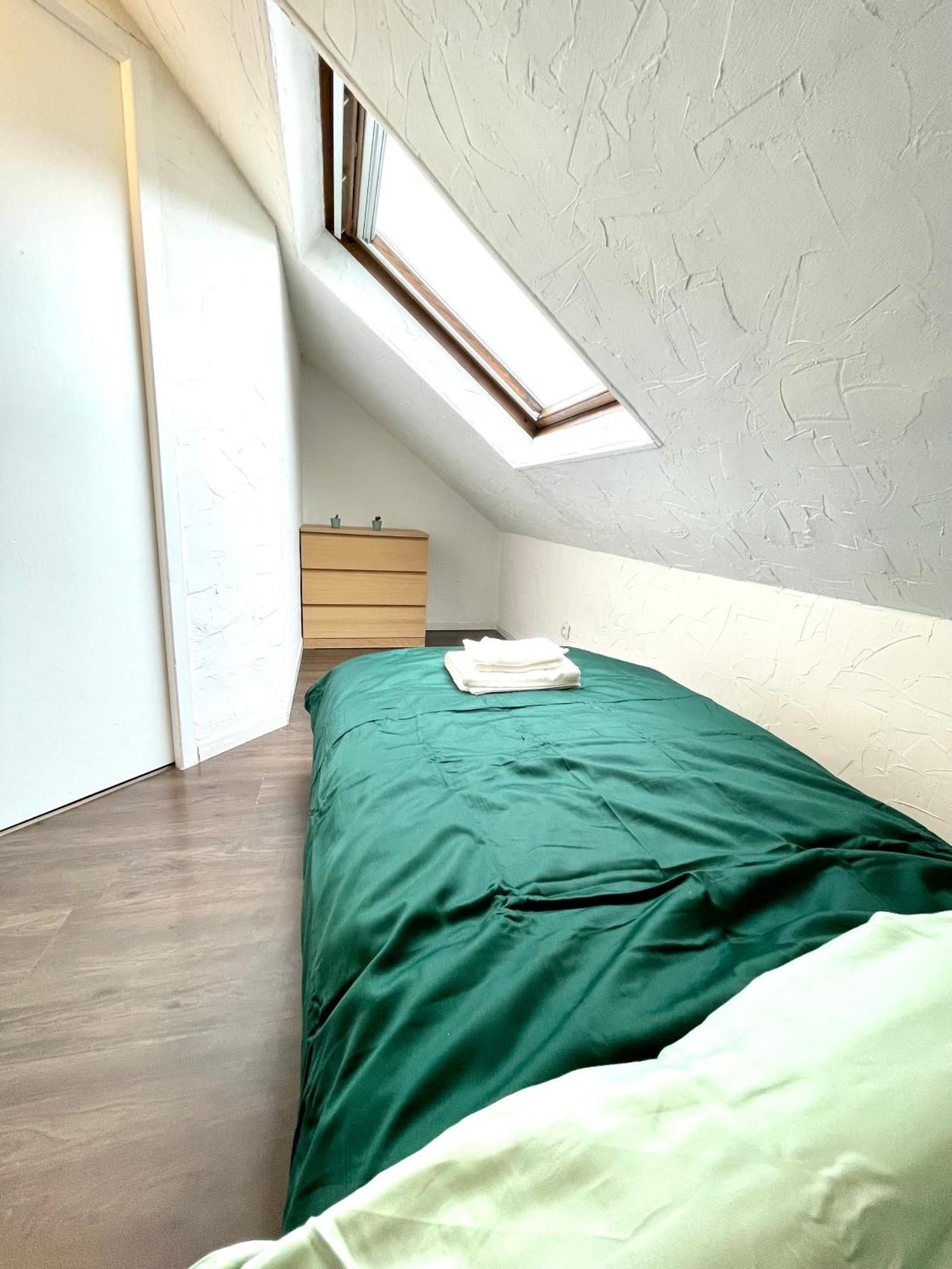 Appartement Duplex 90M2 - 3 Chambres - Мюлуз Экстерьер фото