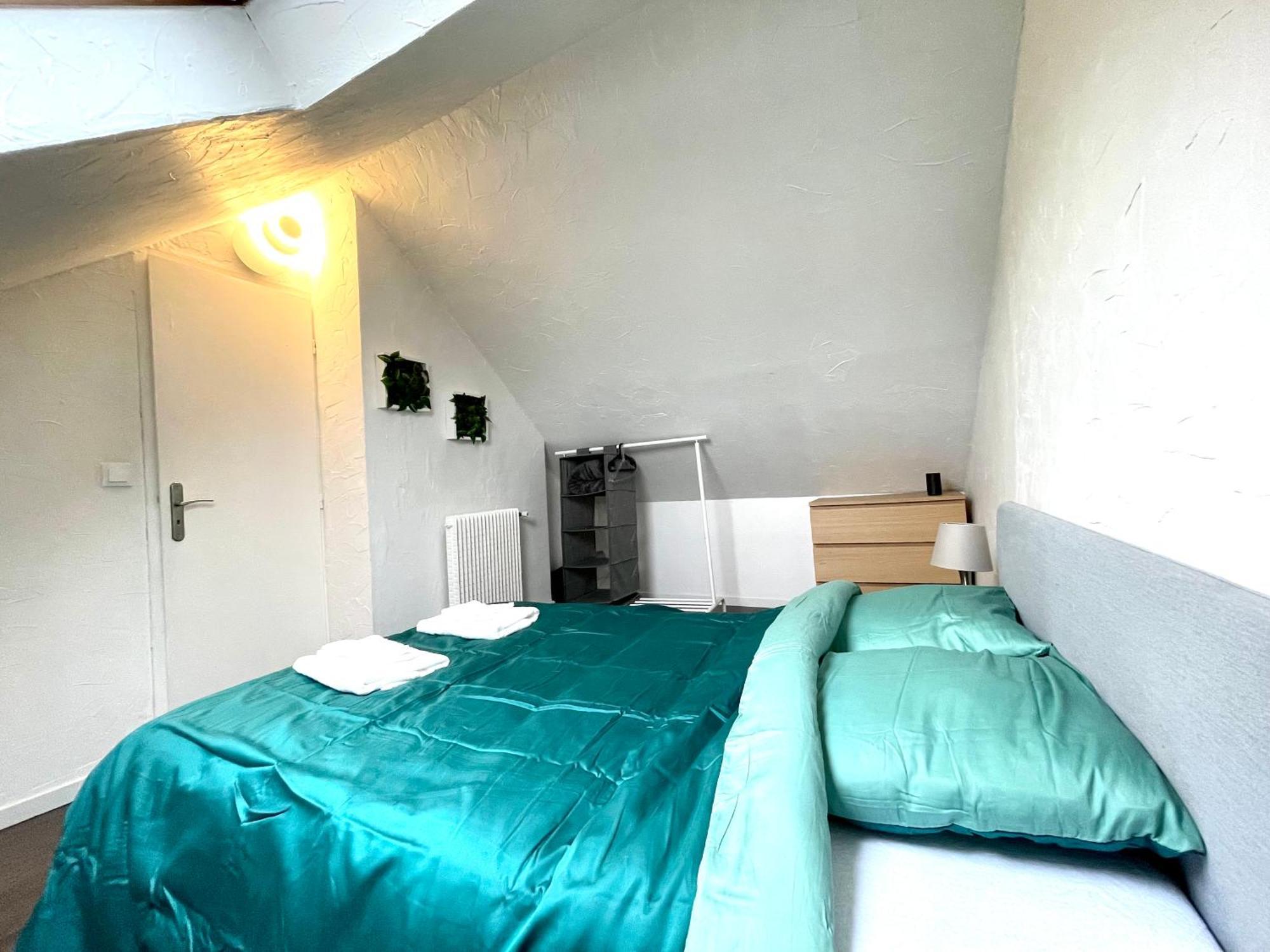 Appartement Duplex 90M2 - 3 Chambres - Мюлуз Экстерьер фото